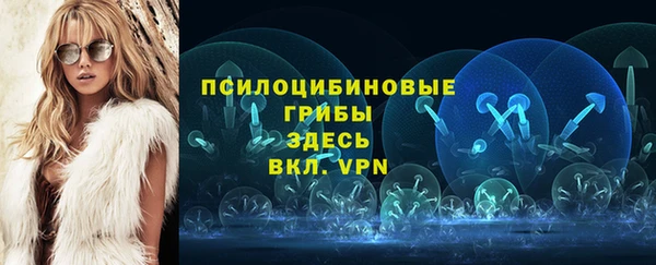 a pvp Арсеньев