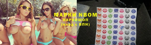 стаф Осташков